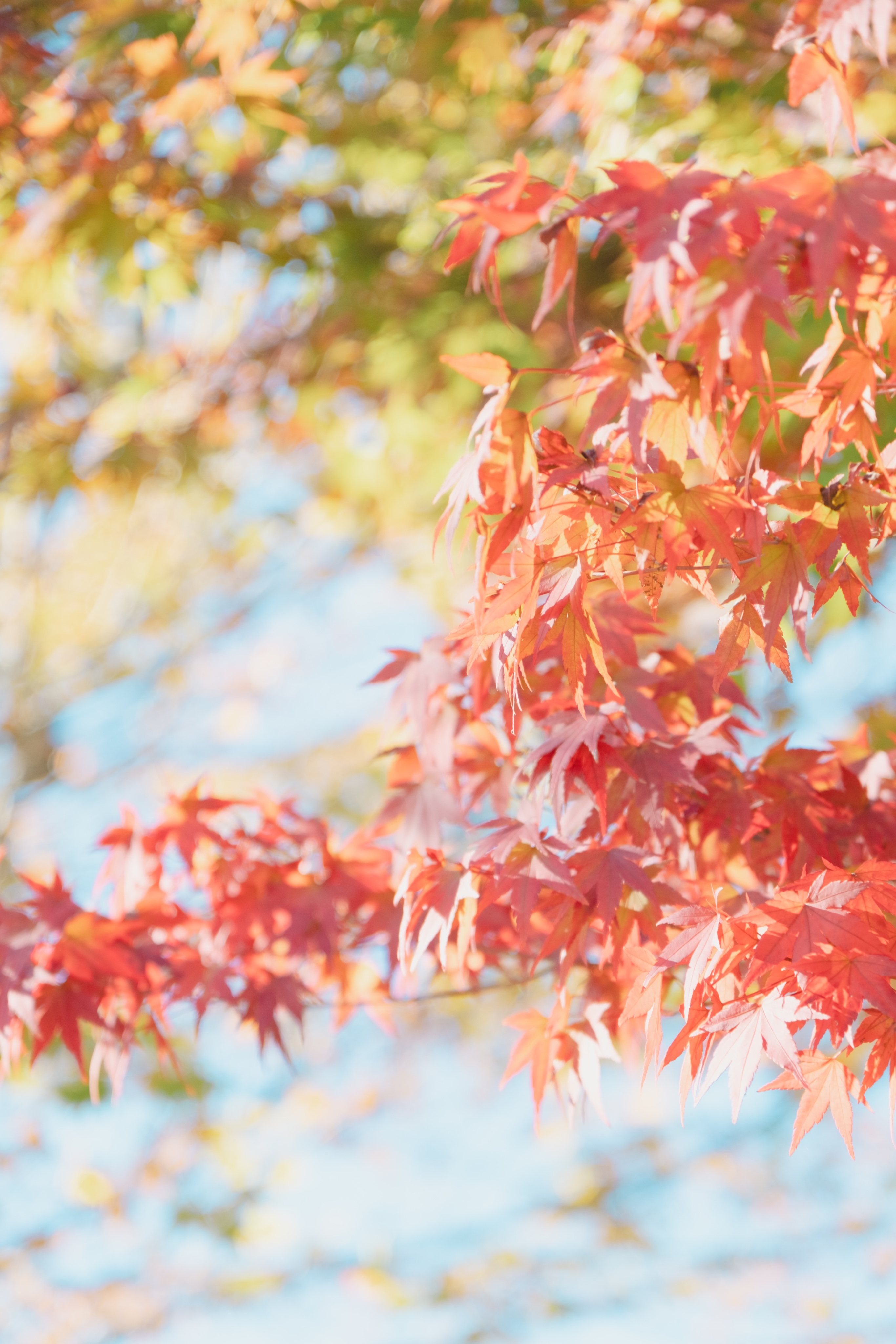 thumbnail of the cover of the post