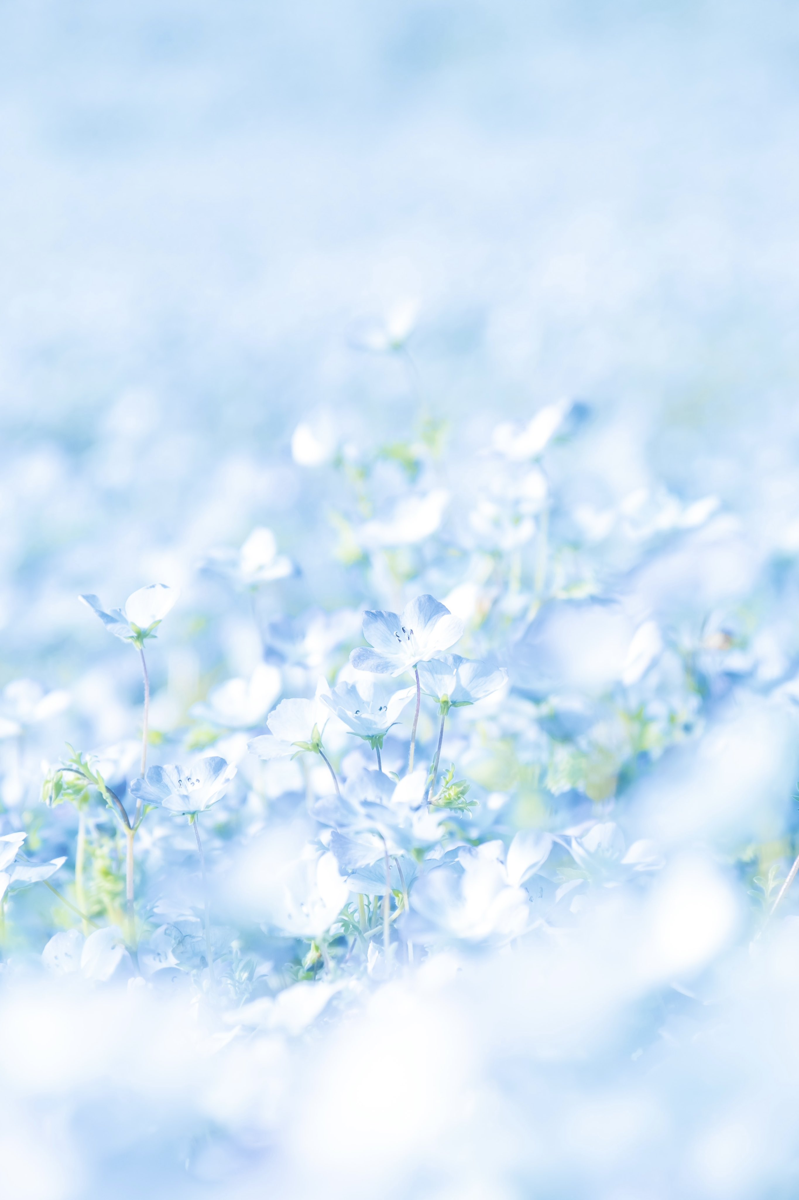 thumbnail of the cover of the post