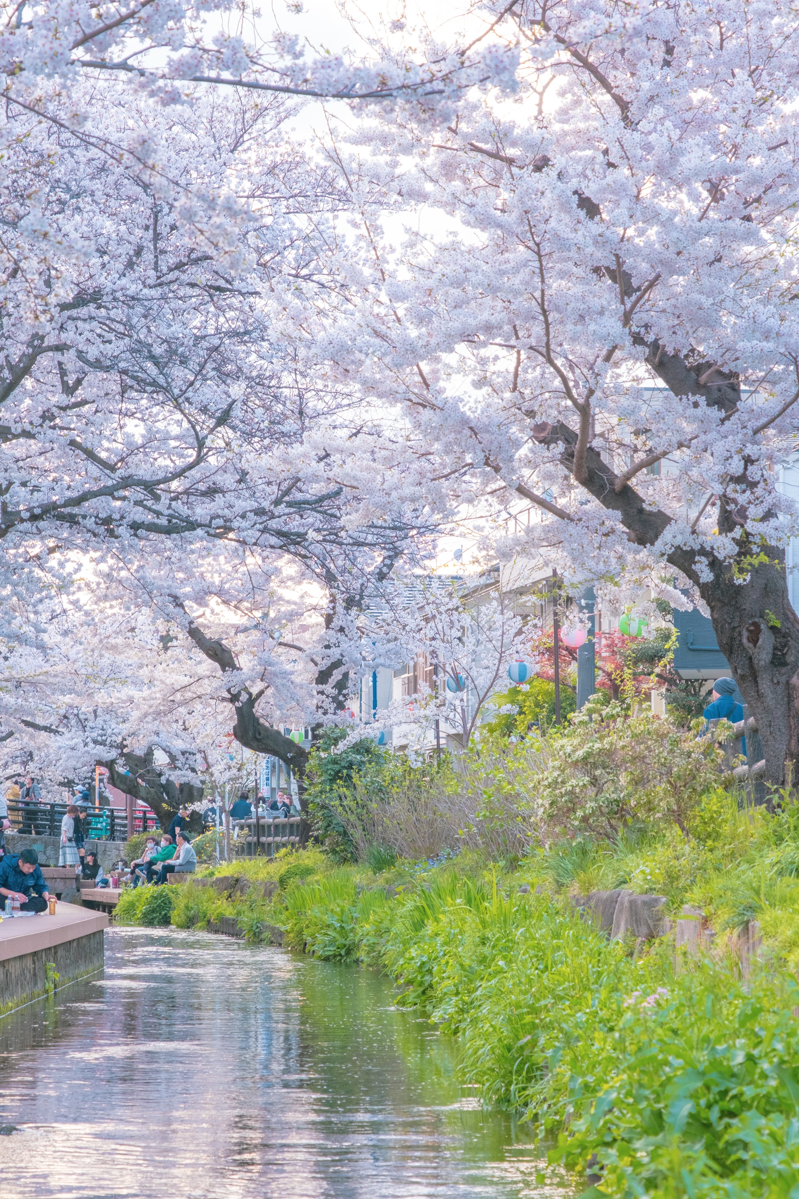 thumbnail of the cover of the post