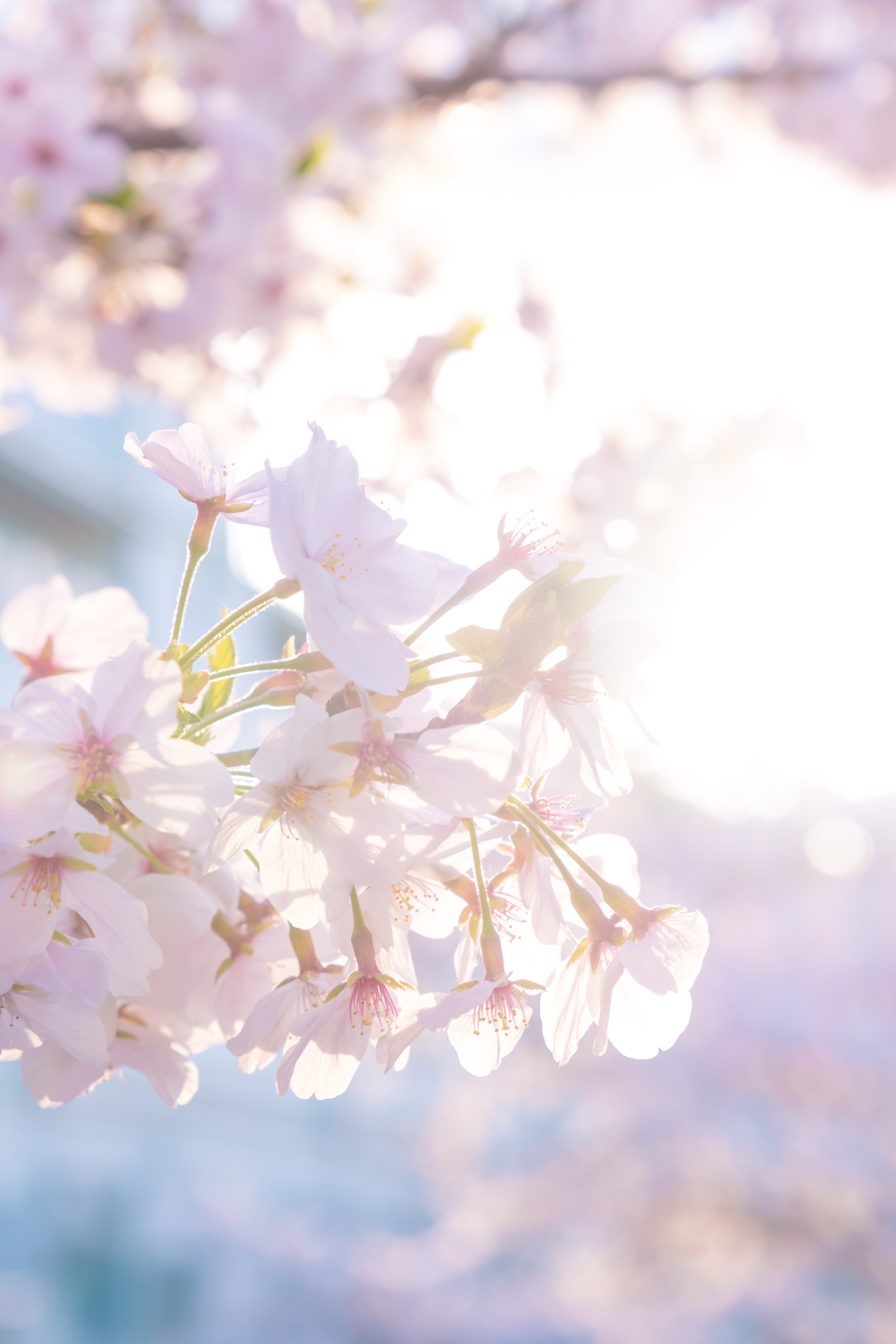 thumbnail of the cover of the post