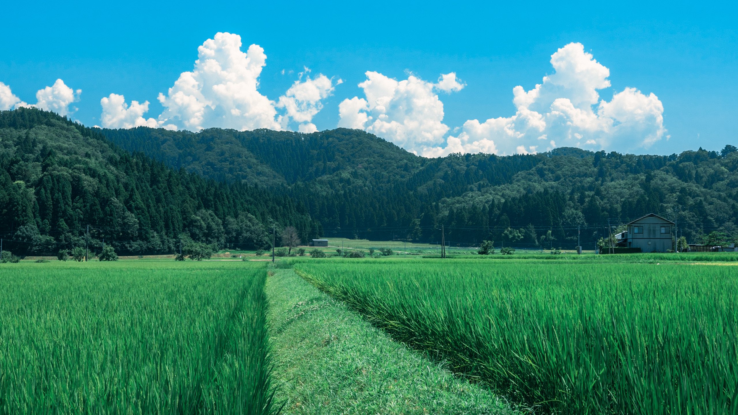 thumbnail of the cover of the post