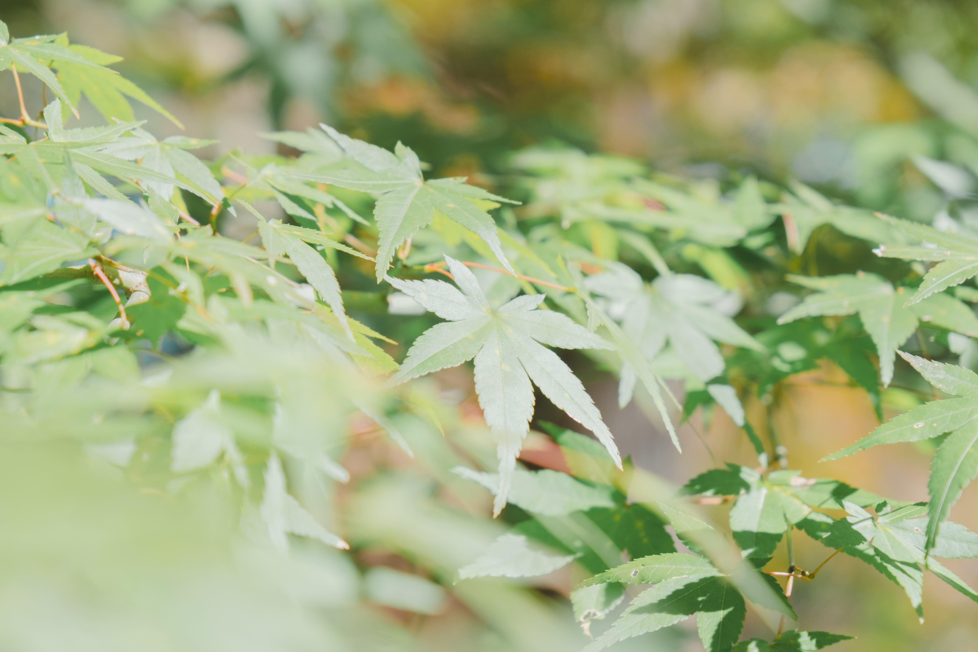 thumbnail of the cover of the post