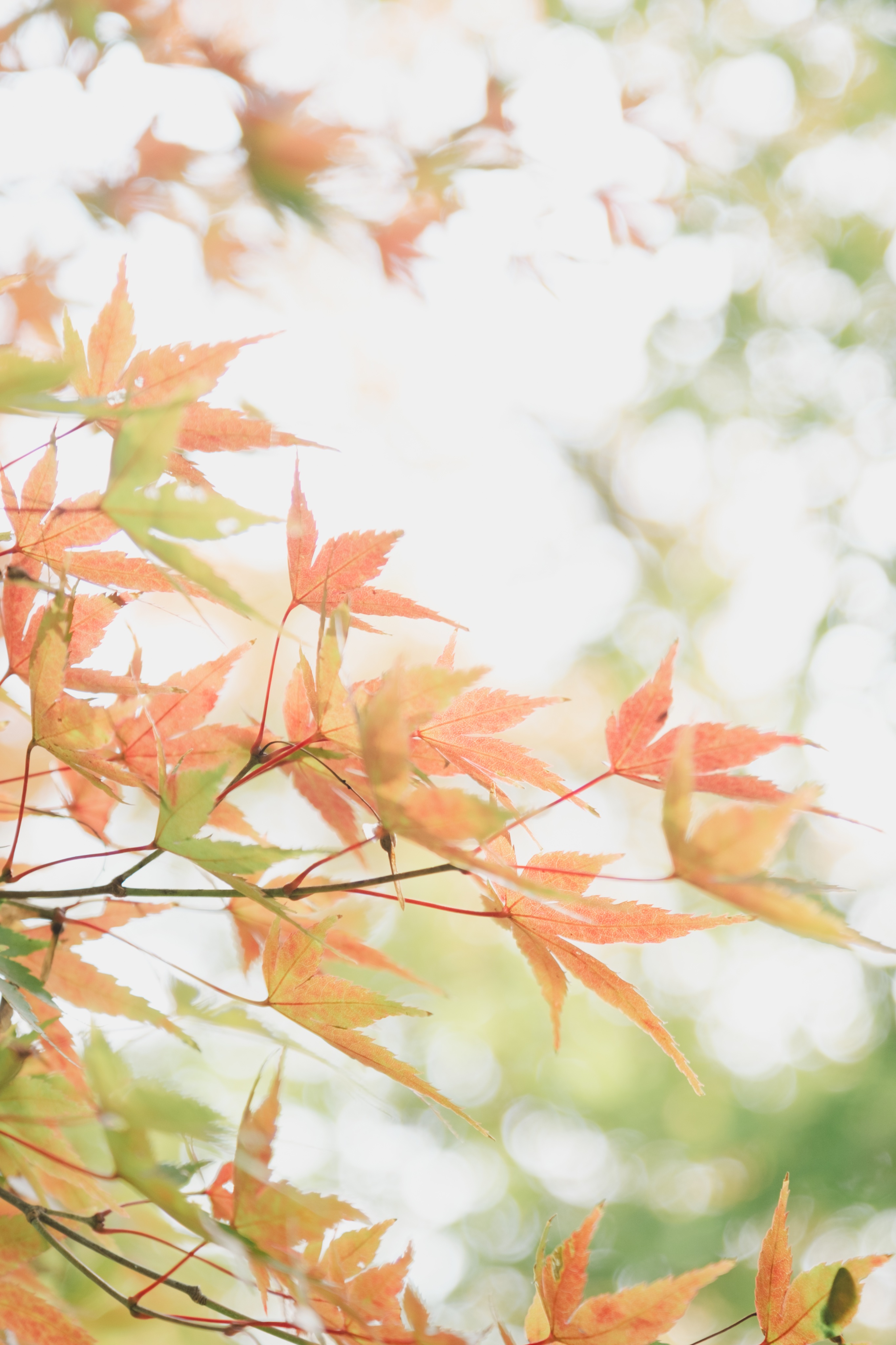 thumbnail of the cover of the post