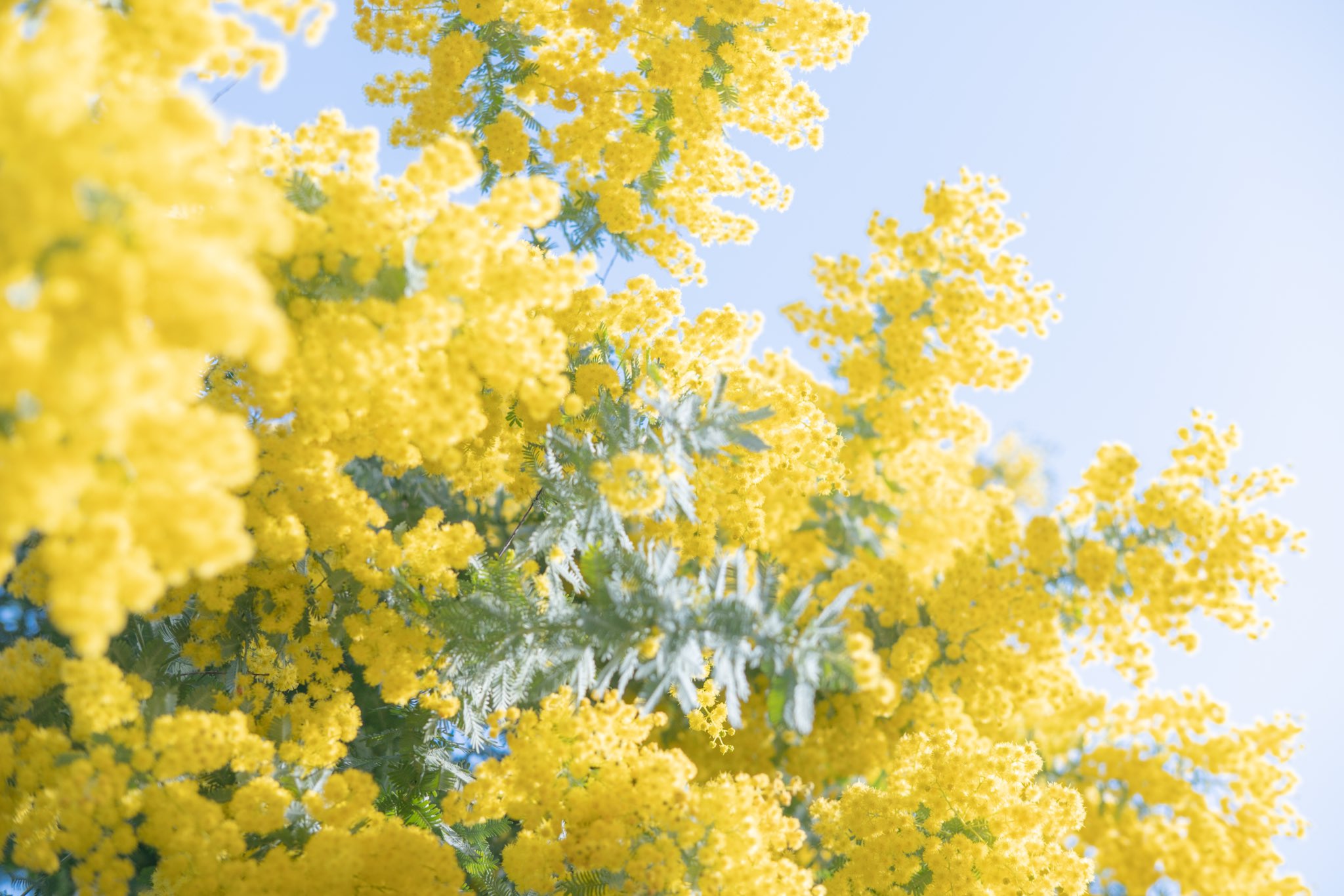 thumbnail of the cover of the post