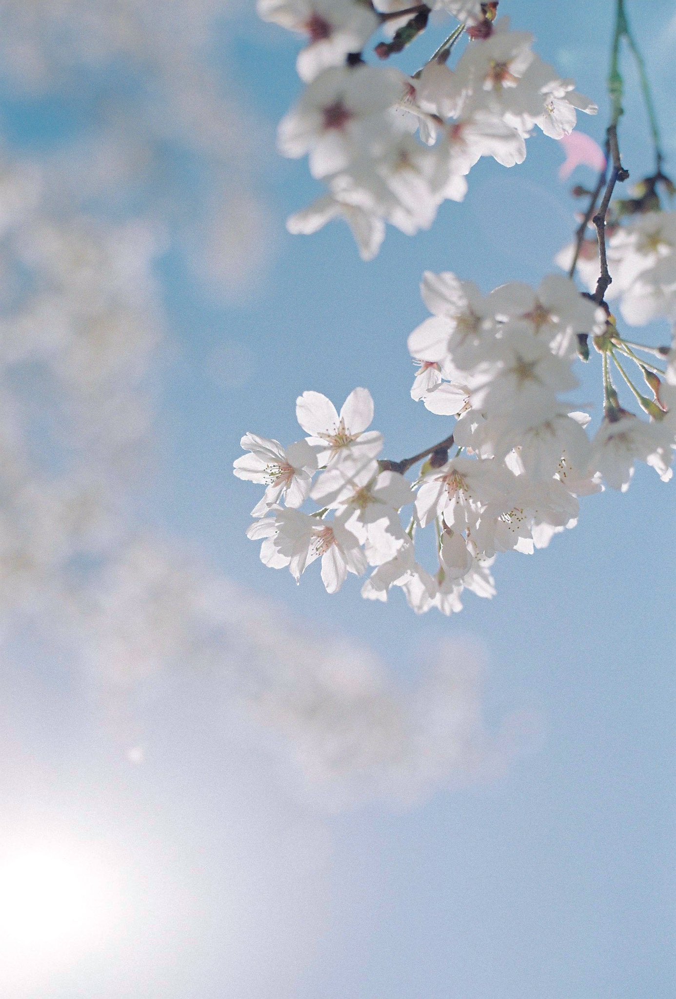 thumbnail of the cover of the post