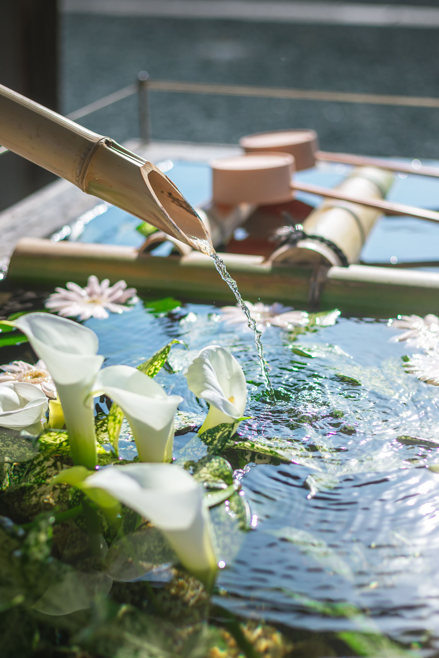 thumbnail of the cover of the post