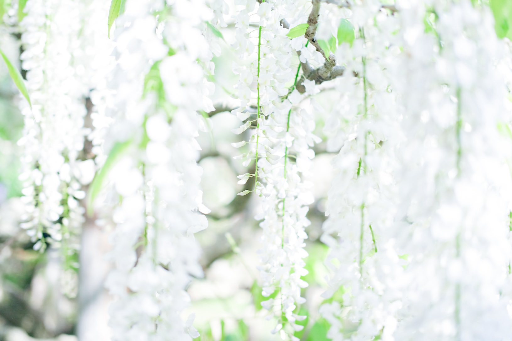 thumbnail of the cover of the post